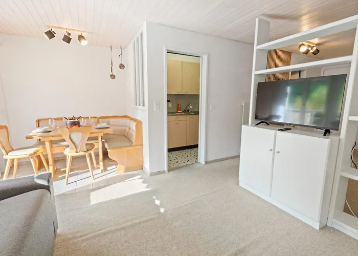 Lumineux Avec Vue Sur Les Montagnes